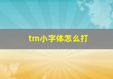 tm小字体怎么打