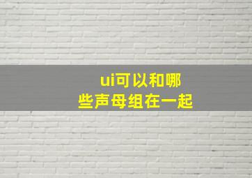 ui可以和哪些声母组在一起