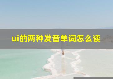 ui的两种发音单词怎么读