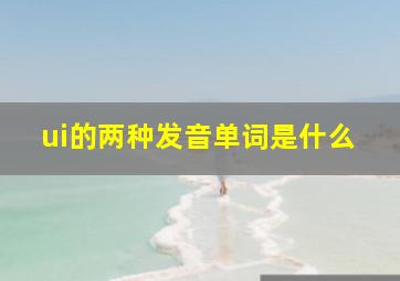 ui的两种发音单词是什么