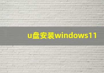 u盘安装windows11