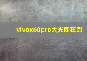 vivox60pro大光圈在哪