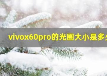 vivox60pro的光圈大小是多少