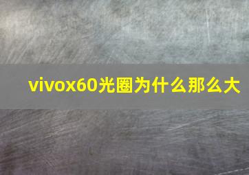 vivox60光圈为什么那么大