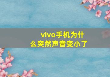 vivo手机为什么突然声音变小了