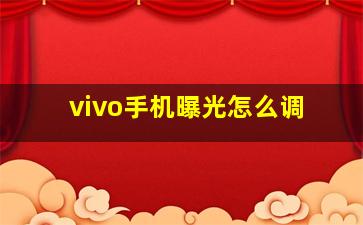 vivo手机曝光怎么调