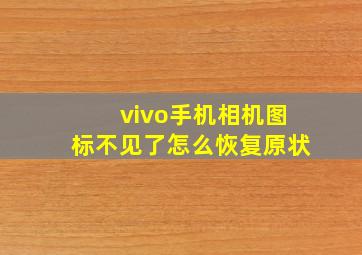 vivo手机相机图标不见了怎么恢复原状