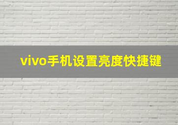 vivo手机设置亮度快捷键