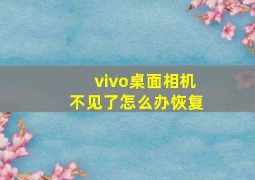 vivo桌面相机不见了怎么办恢复