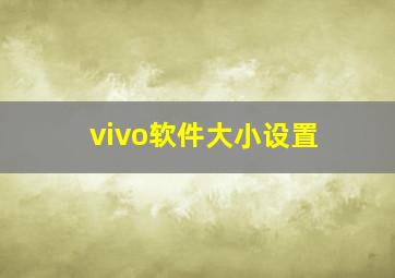 vivo软件大小设置