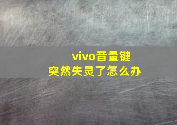 vivo音量键突然失灵了怎么办