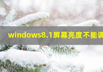 windows8.1屏幕亮度不能调节