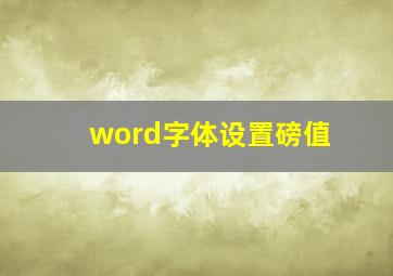 word字体设置磅值