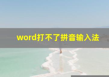 word打不了拼音输入法