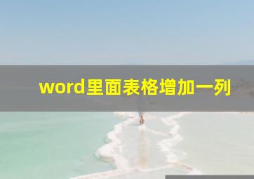 word里面表格增加一列