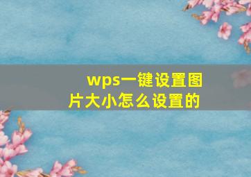 wps一键设置图片大小怎么设置的