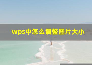 wps中怎么调整图片大小