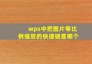 wps中把图片等比例缩放的快捷键是哪个