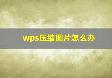 wps压缩图片怎么办