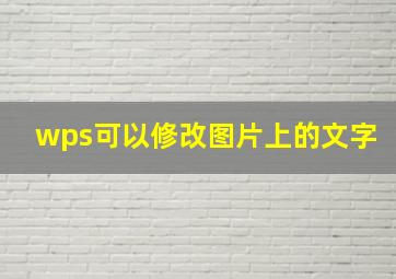 wps可以修改图片上的文字