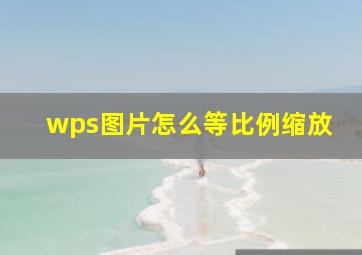 wps图片怎么等比例缩放