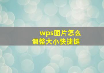 wps图片怎么调整大小快捷键