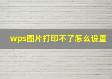 wps图片打印不了怎么设置