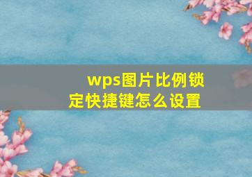 wps图片比例锁定快捷键怎么设置