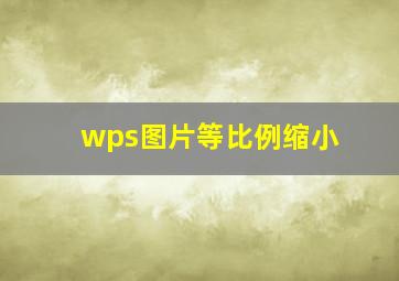 wps图片等比例缩小