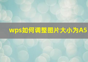 wps如何调整图片大小为A5