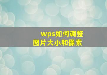 wps如何调整图片大小和像素