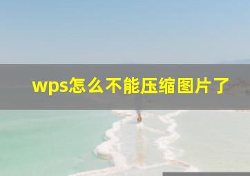 wps怎么不能压缩图片了