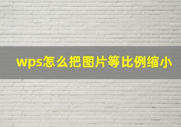 wps怎么把图片等比例缩小