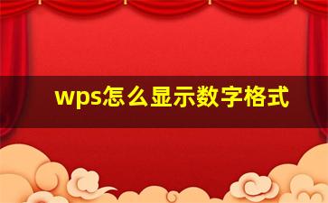 wps怎么显示数字格式