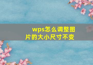 wps怎么调整图片的大小尺寸不变