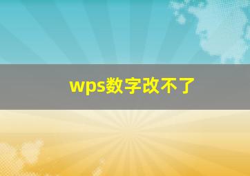 wps数字改不了