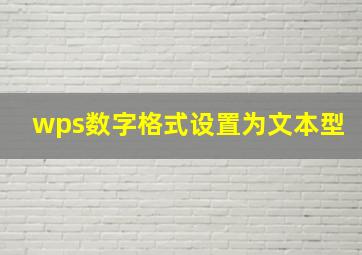 wps数字格式设置为文本型