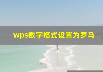 wps数字格式设置为罗马