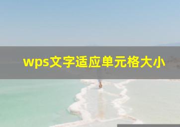 wps文字适应单元格大小