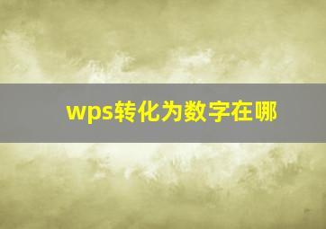 wps转化为数字在哪