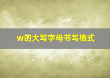 w的大写字母书写格式