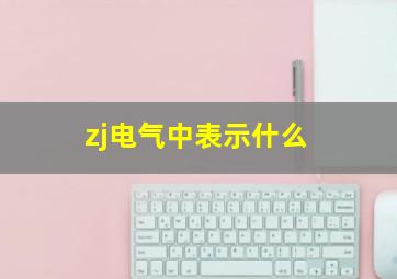 zj电气中表示什么