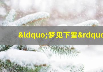 “梦见下雪”