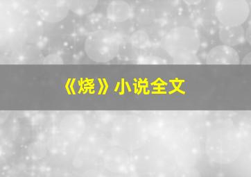 《烧》小说全文