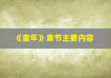 《童年》章节主要内容