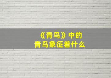 《青鸟》中的青鸟象征着什么