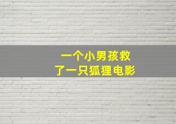 一个小男孩救了一只狐狸电影