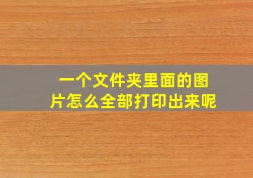 一个文件夹里面的图片怎么全部打印出来呢