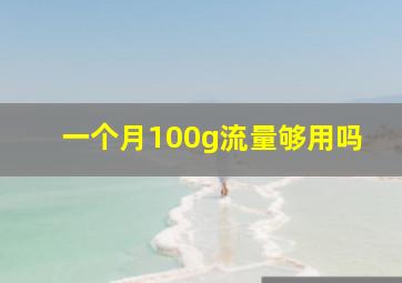 一个月100g流量够用吗