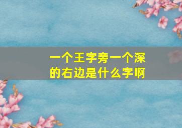 一个王字旁一个深的右边是什么字啊